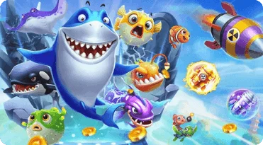 Promotion & Bonus 